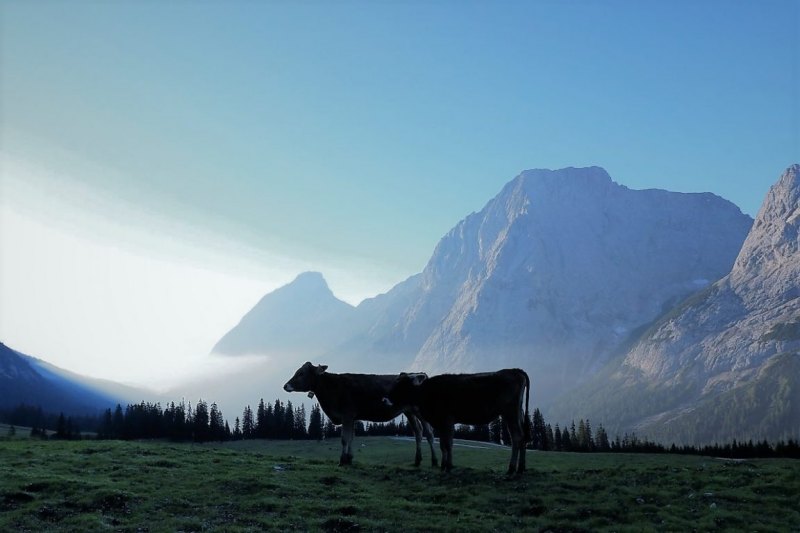 Tag auf der Hochfeldernalm – zwischen Morgen- und Abendsonne