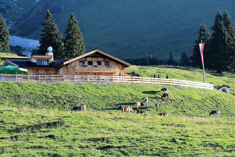 Tag auf der Hochfeldernalm – zwischen Morgen- und Abendsonne