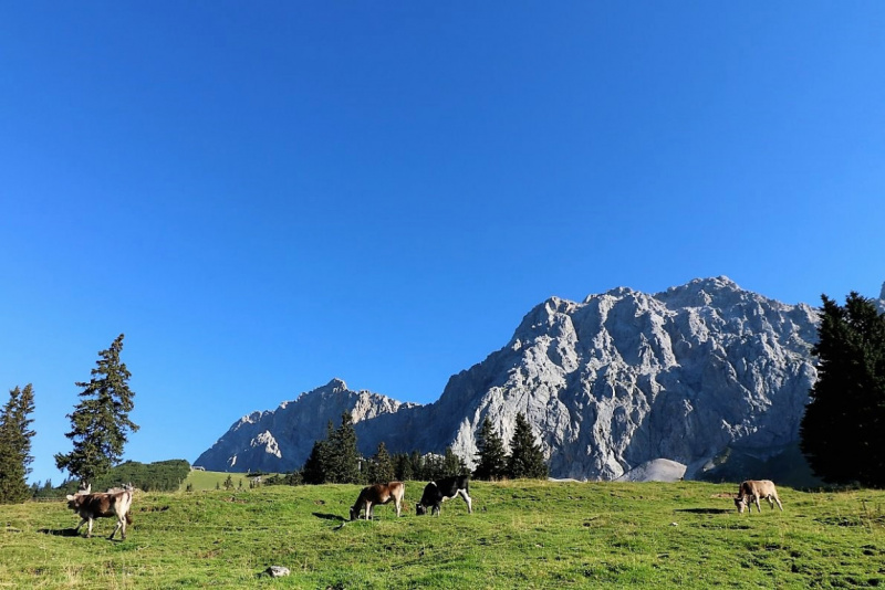 Tag auf der Hochfeldernalm – zwischen Morgen- und Abendsonne