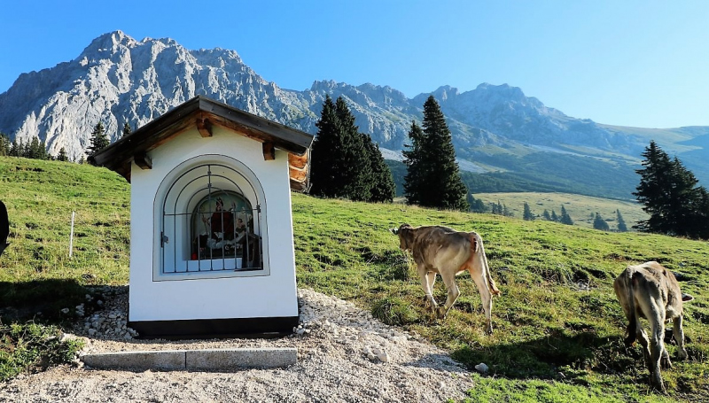 Tag auf der Hochfeldernalm – zwischen Morgen- und Abendsonne