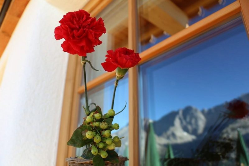 Tag auf der Hochfeldernalm – zwischen Morgen- und Abendsonne