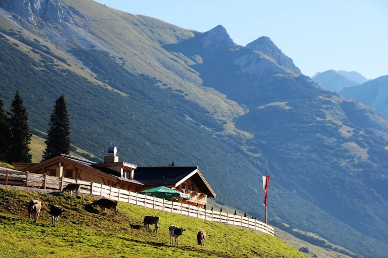 Tag auf der Hochfeldernalm – zwischen Morgen- und Abendsonne