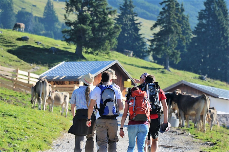 Tag auf der Hochfeldernalm – zwischen Morgen- und Abendsonne