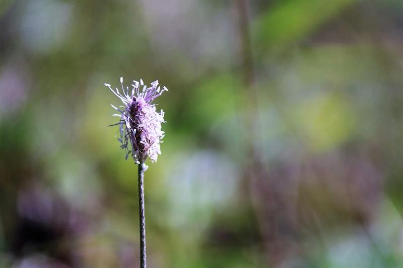 Tag auf der Hochfeldernalm – zwischen Morgen- und Abendsonne