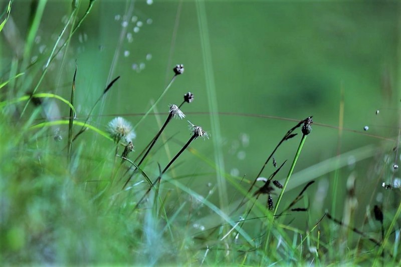 Tag auf der Hochfeldernalm – zwischen Morgen- und Abendsonne