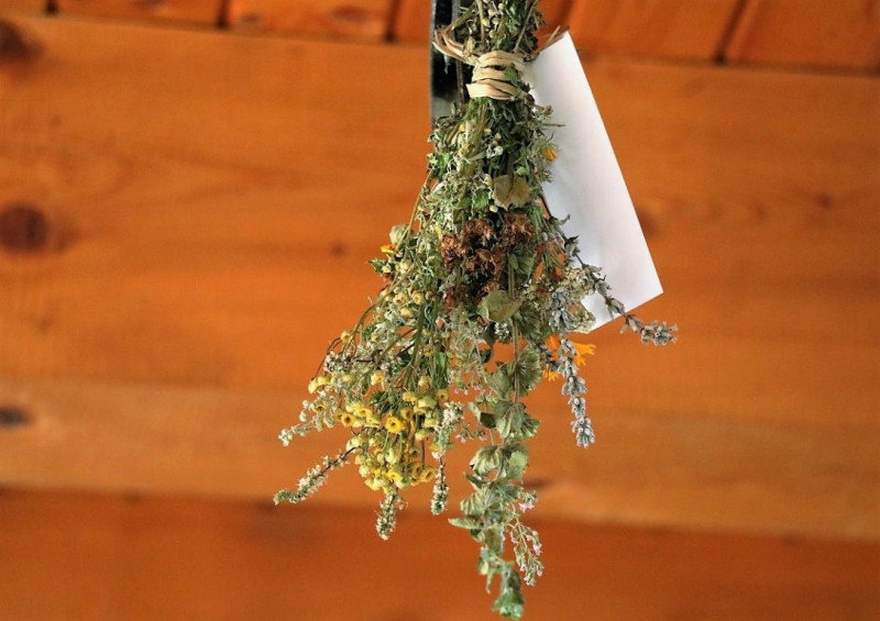 Tag auf der Hochfeldernalm – zwischen Morgen- und Abendsonne