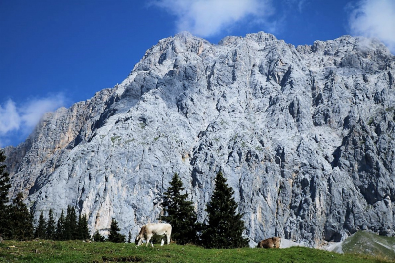 Tag auf der Hochfeldernalm – zwischen Morgen- und Abendsonne