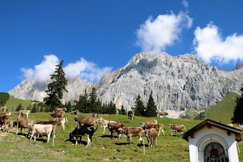 Tag auf der Hochfeldernalm – zwischen Morgen- und Abendsonne