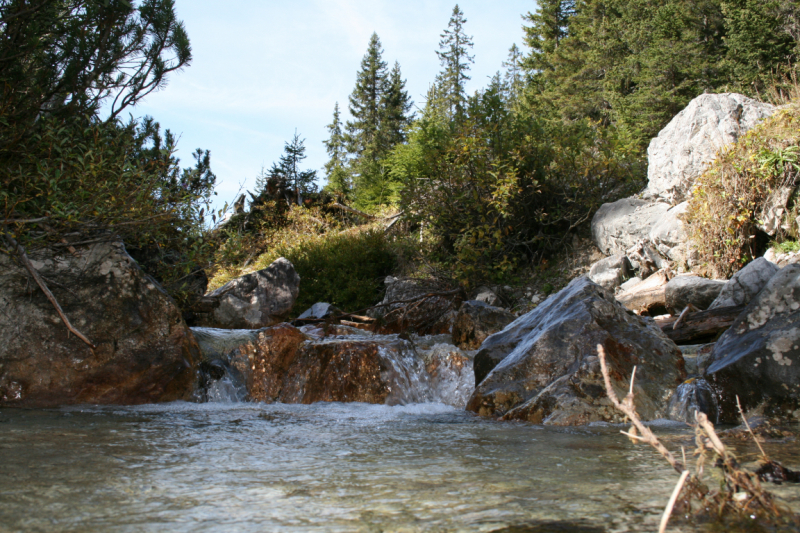 hochfeldernalm_2010_006