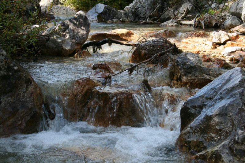hochfeldernalm_2010_008