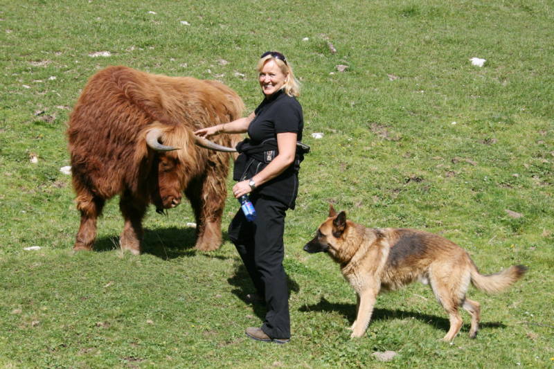hochfeldernalm_2010_012