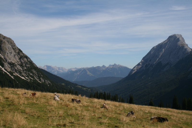 hochfeldernalm_2010_026