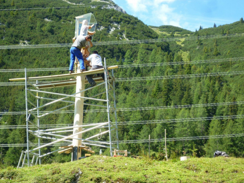 Aufstellen der Marienbergsäule auf der Marienbergalm