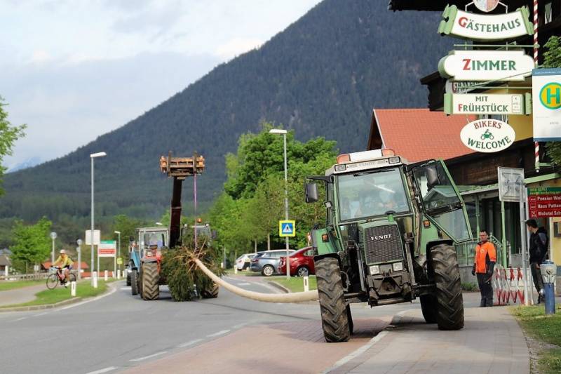 Barwies – 150jährige Fichte wird Maibaum