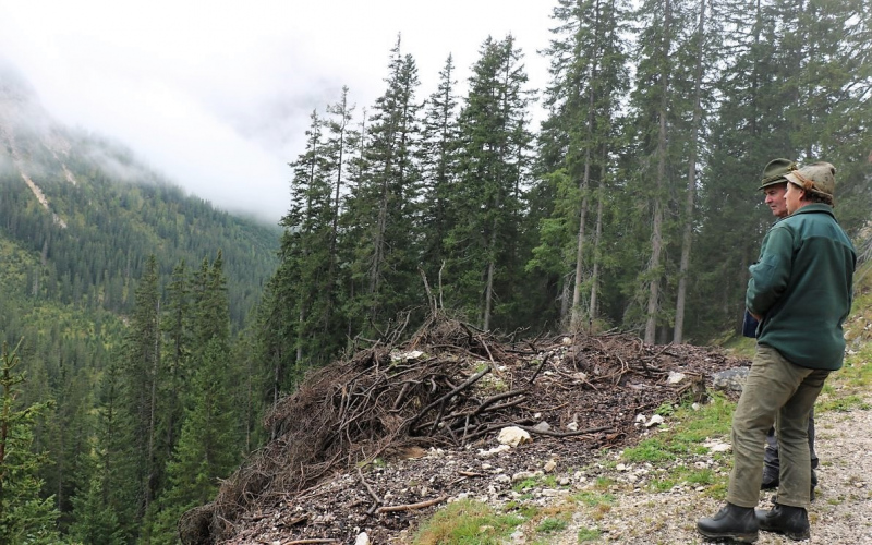 hochfeldernalm-baubeginn-174-von-669