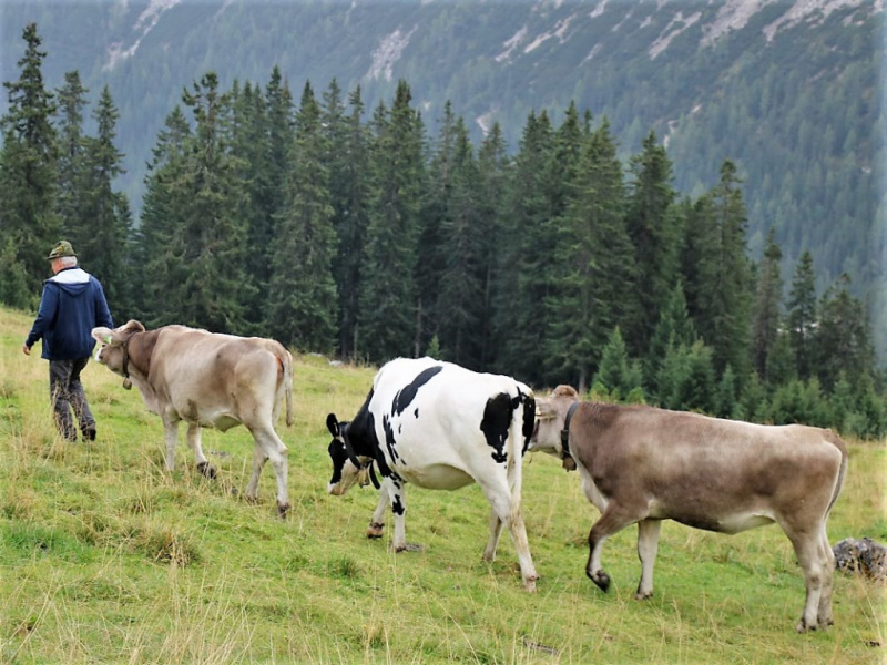 hochfeldernalm-baubeginn-416-von-669