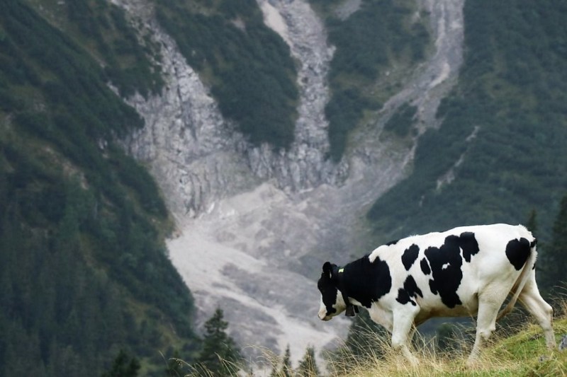 hochfeldernalm-baubeginn-467-von-669