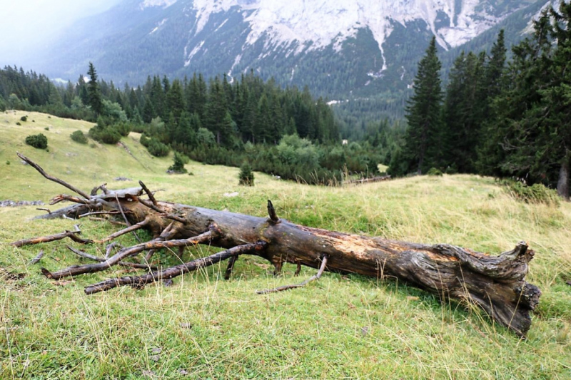 hochfeldernalm-baubeginn-482-von-669