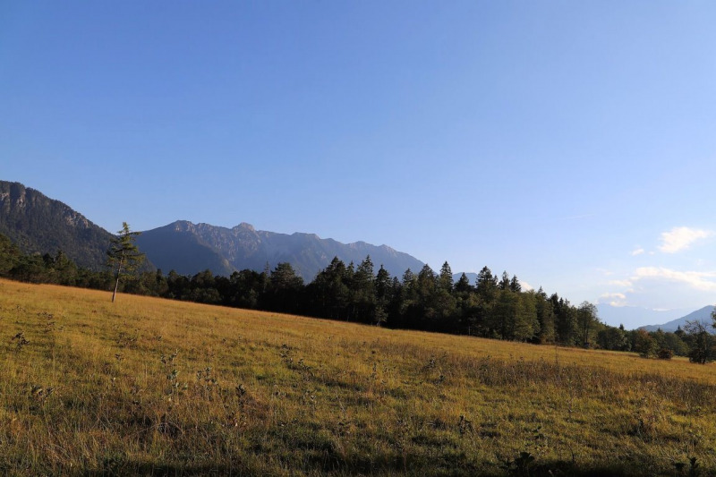 Das Murnauer Moos