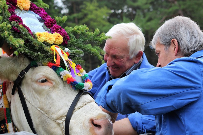 Drei-Almen-Abtrieb in Barwies – Abschied des Marienberg-Hirten