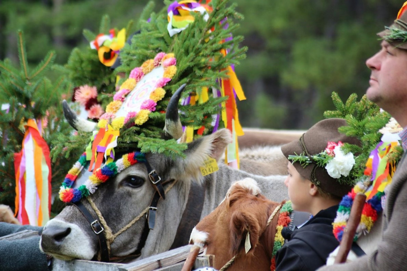 Drei-Almen-Abtrieb in Barwies – Abschied des Marienberg-Hirten