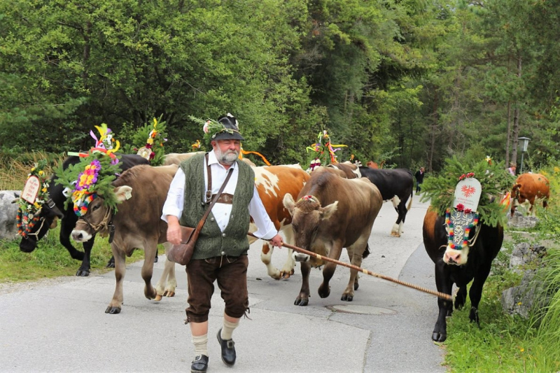 Drei-Almen-Abtrieb in Barwies – Abschied des Marienberg-Hirten