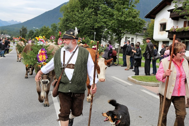 Drei-Almen-Abtrieb in Barwies – Abschied des Marienberg-Hirten
