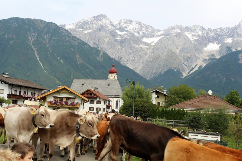 Drei-Almen-Abtrieb in Barwies – Abschied des Marienberg-Hirten