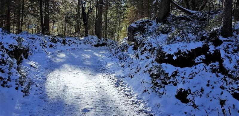 Eibsee – Bayerns gestresste Perle am Fuße der Zugspitze