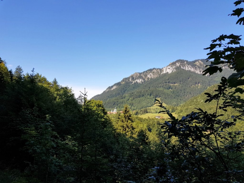 Ettaler Forst – geprägt von seinen Bewohnern