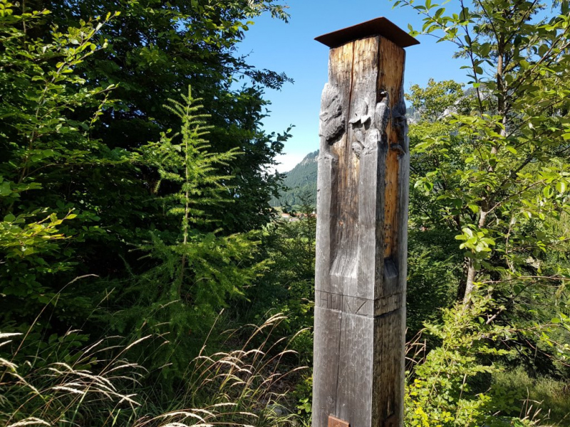 Ettaler Forst – geprägt von seinen Bewohnern