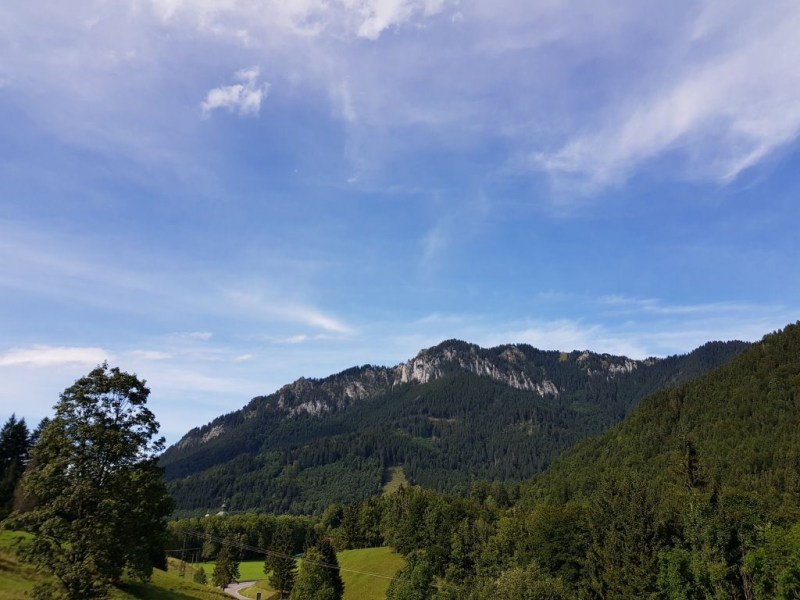 Ettaler Forst – geprägt von seinen Bewohnern