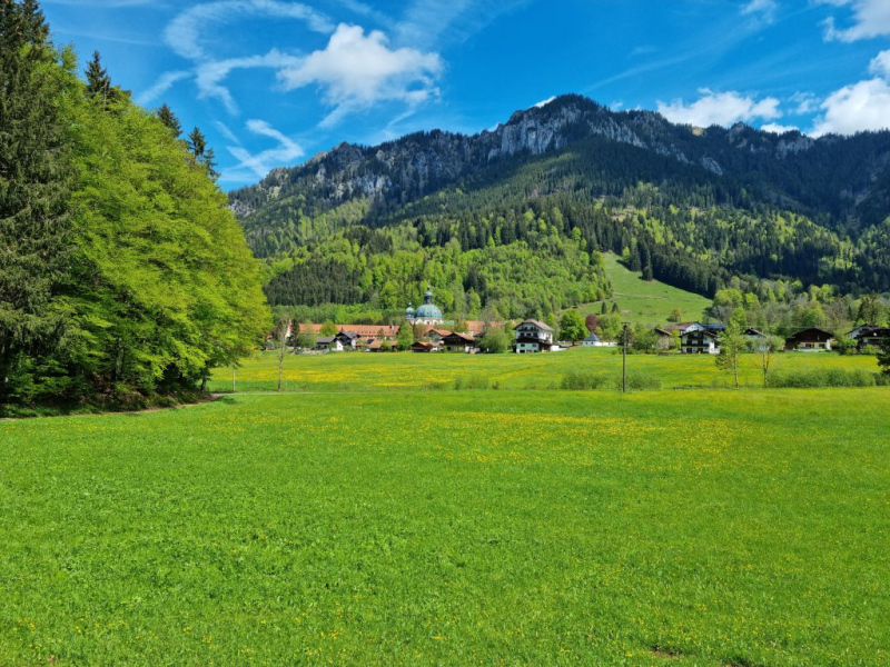 Ettaler Forst – geprägt von seinen Bewohnern