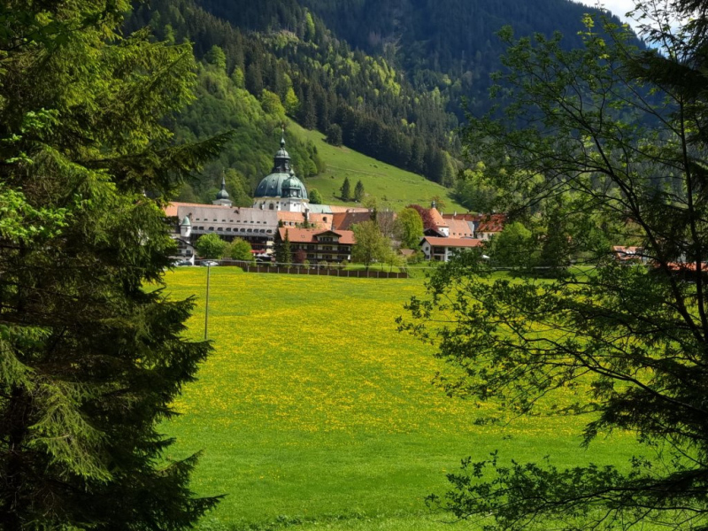 Ettaler Forst – geprägt von seinen Bewohnern