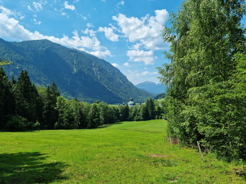 Ettaler Forst – geprägt von seinen Bewohnern