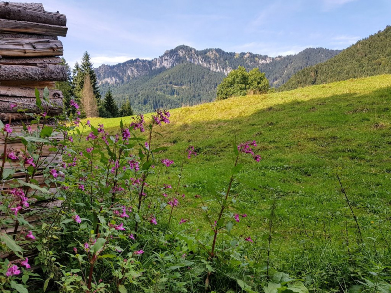 Ettaler Forst – geprägt von seinen Bewohnern