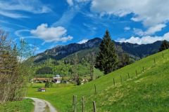 Ettaler Wald – geprägt von seinen Bewohnern