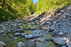 Ettaler Wald – geprägt von seinen Bewohnern