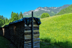 Ettaler Wald – geprägt von seinen Bewohnern