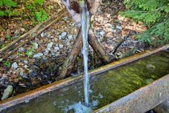 Ettaler Wald – geprägt von seinen Bewohnern