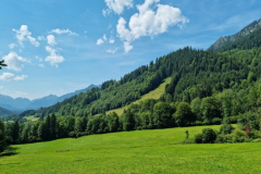 Ettaler Wald – geprägt von seinen Bewohnern