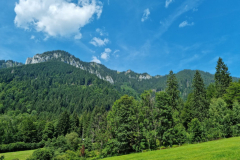 Ettaler Wald – geprägt von seinen Bewohnern