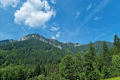 Ettaler Wald – geprägt von seinen Bewohnern