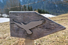 Ettaler Wald – geprägt von seinen Bewohnern