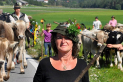 Almabtrieb Feldernalm September 2012