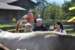 Almabtrieb Feldernalm September 2012