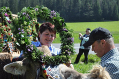 Almabtrieb Feldernalm September 2012