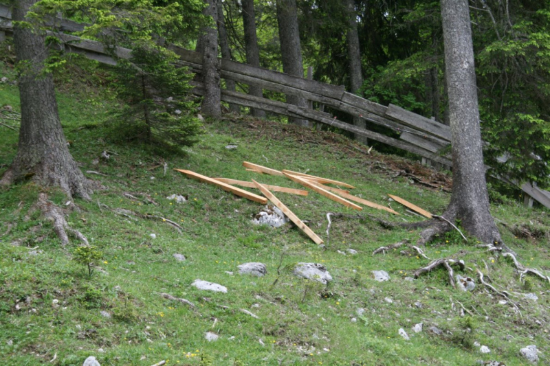 Feldernalmbauern zäunen vier Kilometer Weidezäune