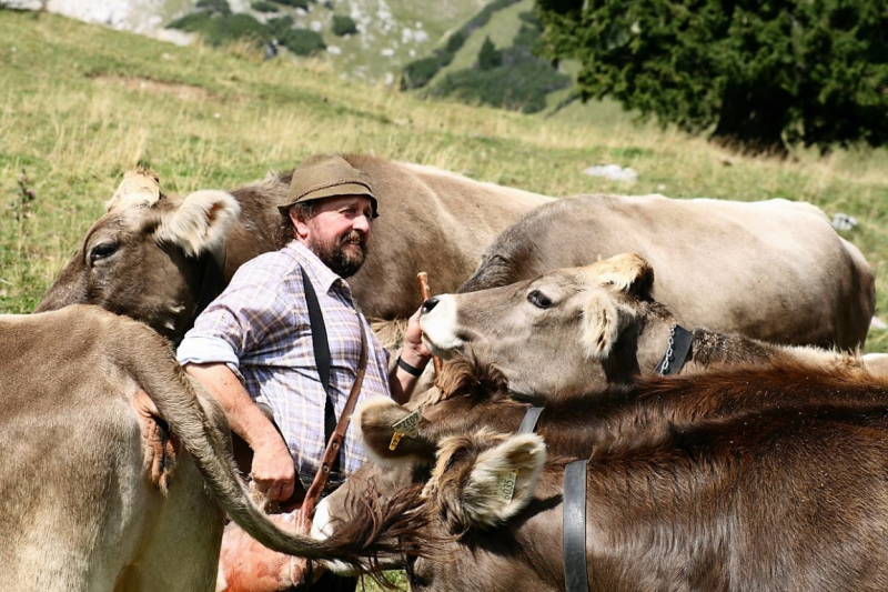 „Mein Tag beginnt um halb fünf“ sagt der Feldernalmhirt Norbert Kluckner