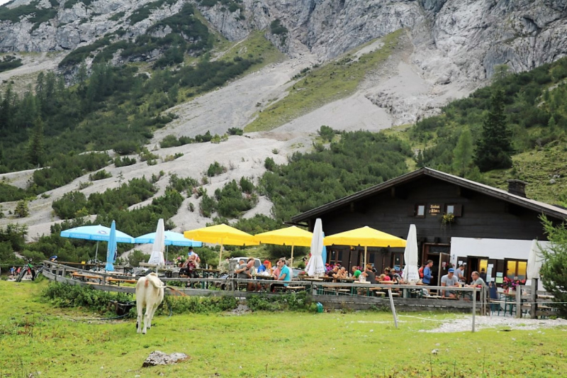 Freilichtbühne Seeben Alm – Almvieh und Wanderer auf Augenhöhe